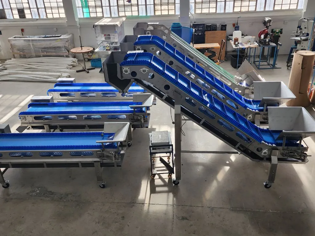 conveyor-systems-at-belting-edge